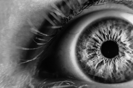 Iris eines Auges